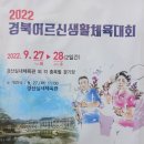 2022 경북어르신파크골프대회 이미지