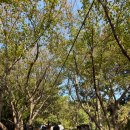 용담밭담 | 제주여행 1일차(도두봉, 무지개해안도로, 새별오름, 아르떼뮤지엄, 족욕체험)