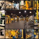 시너지 짐 이미지