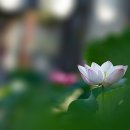 3745, 태풍을 다독이다. 이미지
