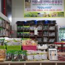 달중아트