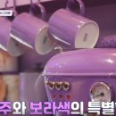 보라공주