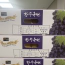 박흥수농장 네이버블로그