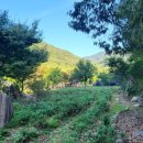 정원펜션 이미지