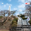 비전목장 | 제주도 3월 3.1절 가볼 만한 곳 제주 항일기념관: 3대 항일운동(조천, 법정사, 해녀) 알아보기