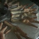 호두 펫푸드 이미지