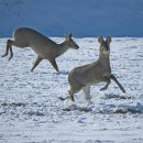 약속의 땅 이미지