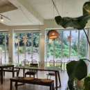 헤이구디 이미지