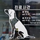 용마동물병원