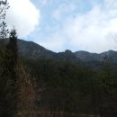 장령산자연휴양림 이미지