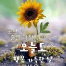 신원로 이미지