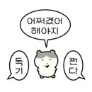 송원온누리약국 네이버블로그