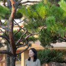범어동미용실 중단발레이어드컷 볼륨매직 후기샷💕[하우룸헤어 범어점 해이☀️]