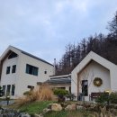 메리도그하우스2 이미지