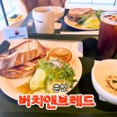 모닝 브레드 | 춘천 버치앤브레드 브런치 후기, 분위기 좋은 베이커리 카페