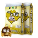 현대농산