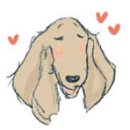 저스틴 멍멍 이미지