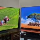 Ogu Ogu Dog 이미지