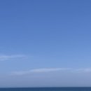 청춘물회 이미지