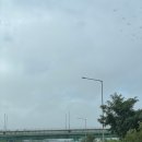 서천보건진료소 | “충남 서천 홍원항 자연산 전어 꽃게 축제” 둘러보기