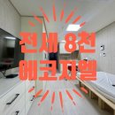 제주드림공인중개사사무소 이미지