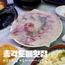 총각도매횟집 - 사하구 장평로 282 | 장유 횟집 추천 총각도매횟집 율하 횟집 방문후기