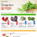 [주간 알뜰장보기] '고랭지 무'가 저번주 보다 10% 싸요 이미지