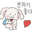 카페디토
