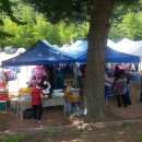 일월초등학교(청기분교) 이미지