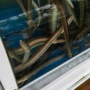 하당남부로 이미지