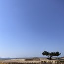 치유스테이 | 태안해양치유센터 웰니스 스테이 가족형 프로그램 내돈내산 후기 치유룸