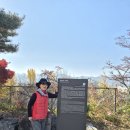 죽향초등학교 | 🍁향수(鄕愁)의 고향, 옥천 역사와 문화 기행(1)-25.11.15 토