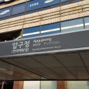 ﻿강남 신사동 압구정역 가로수길 인근 국제학교 유학생 전용 단기 풀옵션 원룸 임대 물건 찾습니다 (원룸 카213) 이미지