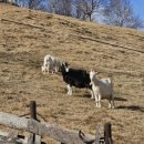 백세민박 이미지