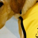 (주)효자건설 이미지