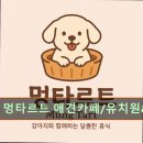 멍패밀리 인천애견유치원 애견호텔 | 인천 애견카페 강아지 동반 멍타르트 애견카페/유치원&amp;호텔 활동성과 휴식을 동시에