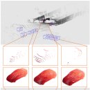 [자율주행 AI 챌린지] 3D 후보 모델 논문 증강 확인 및 제안 이미지