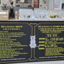 캣츠앤몬스터 이미지