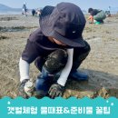 몽산포레져 | 아이와 갯벌체험 언제 갈까요? 태안 물때표 6월 확인부터 준비물 꿀팁까지 알려드려요!