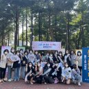 일동제약 사거리 이미지