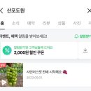 산포도원