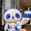 분당-388 | 정자역 카페 차백도 정자 메뉴 추천 칼로리