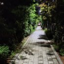 7세븐다방