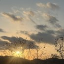 반짝반짝, 나의 마음을 그려요 | 한화리조트 용인 베잔송, 원데이클래스-머그컵 만들기/37.5 시그니처 ☕️👩🏻‍🍳