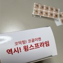 코골이 완화에 도움 준 윙스프라임 비강확장기 후기 💨