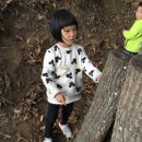 결성농장 이미지