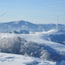 들꽃목장 이미지