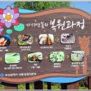 낙동강관리본부 맥도생태공원 1 이미지