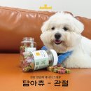 주식회사 펫21 전자신문