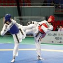 국가대표 국기태권도 이미지